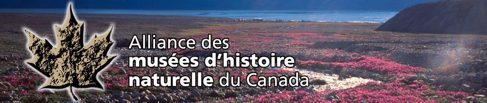 Alliance des musées d'histoire naturelle du Canada