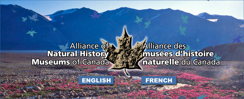 Alliance of Natural History Museums of Canada. Alliance des mus&eacute;es d'histoire naturelle du Canada. Coming Soon. &Agrave; venir.