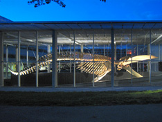 Beaty Biodiversity Museum