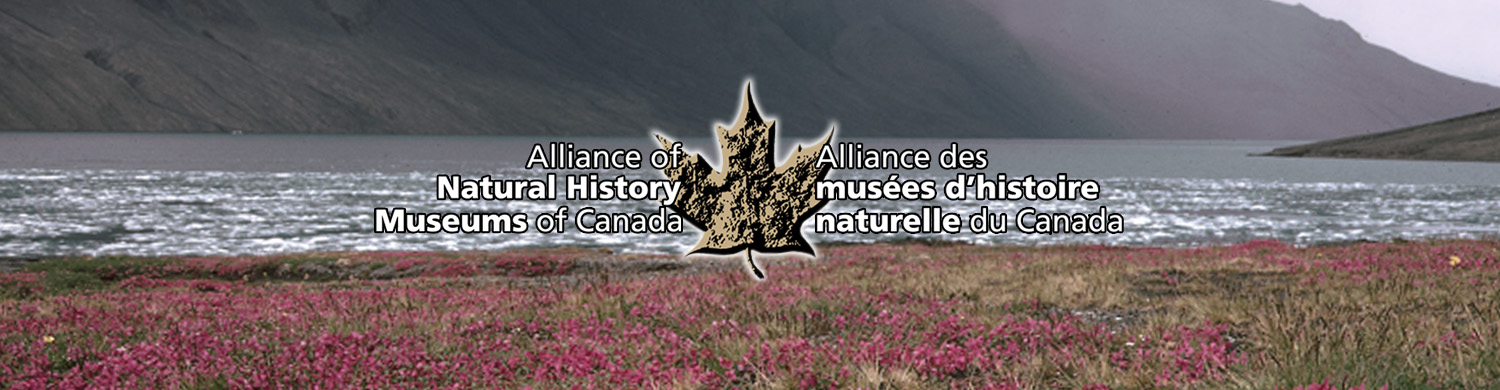 Alliance of Natural History Museums of Canada. Alliance des musées d'histoire naturelle du Canada. Coming Soon. À venir.
